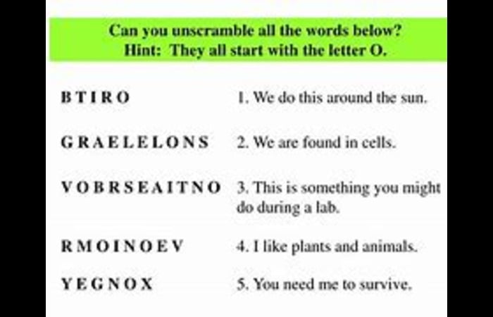 Conclusion on Five Letter Words with