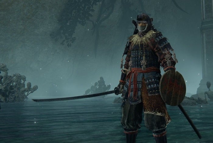 ELDEN RING BASIC SWORD AND SHIELD STANCE