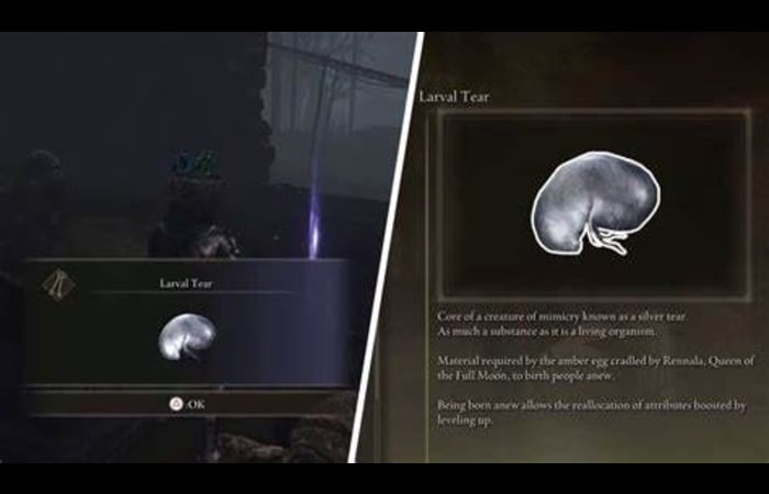 Elden Ring Larval Tear
