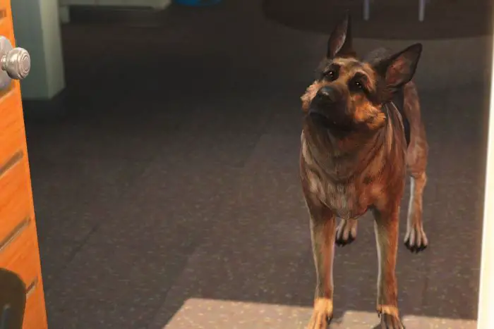 Discover the Ultimate Fallout 4 Best Companion: A Comprehensive Guide to Help You Choose