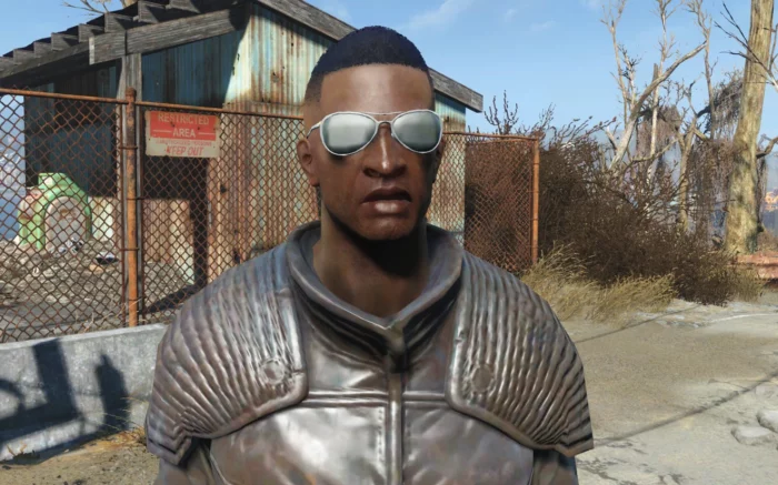 Discover the Ultimate Fallout 4 Best Companion: A Comprehensive Guide to Help You Choose