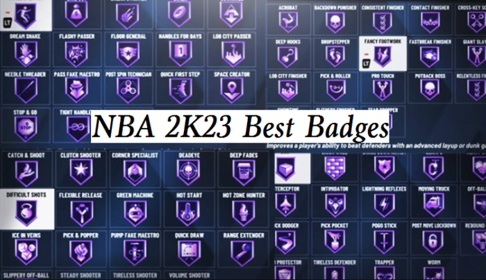 Best Shooting Badges 2K23 Ranked & Explained NBA 2K23 best BADGE