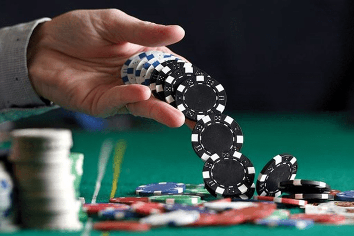 Red Dog Online Casino Review