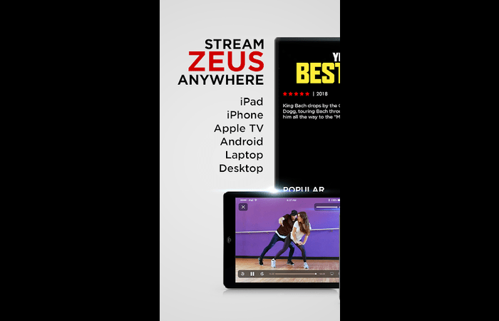 Share Zeus Network Account