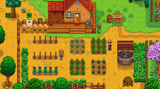 Stardew Valley CrossplayCross Platform