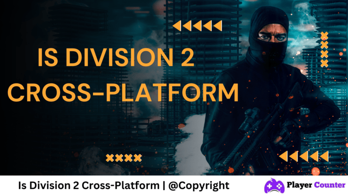 is division 2 crossplatform